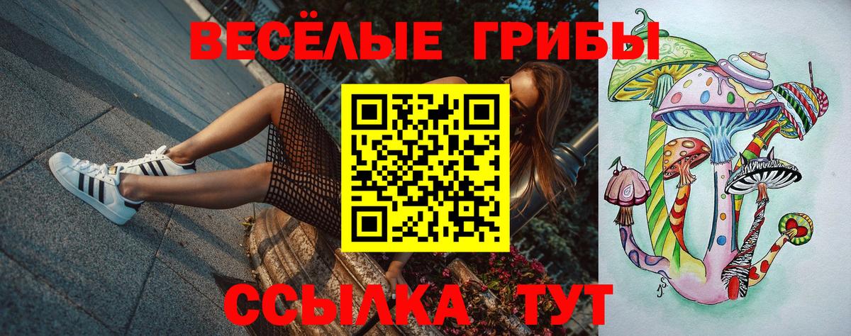 где продают   Вход с VPN  Вольск  Псилоцибиновые грибы прущие грибы 
