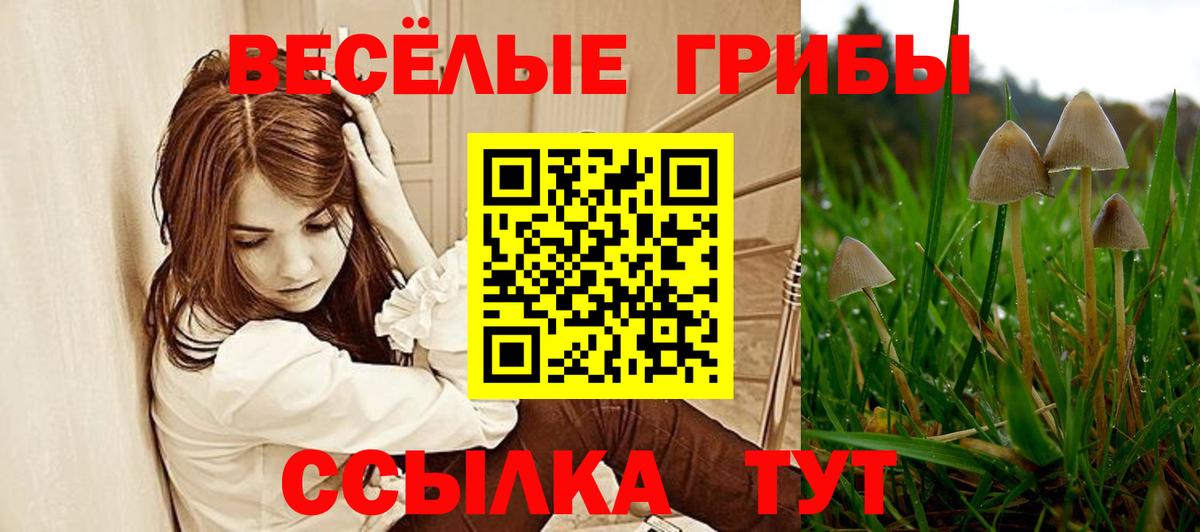 Псилоцибиновые грибы GOLDEN TEACHER Вольск